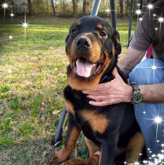 Meet your Posher, Debbie - Picture 1 of 1